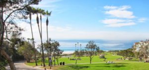 Salt Creek Beach Dana Point Review