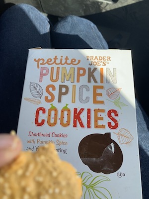 review of trader joes pumpkin cookies