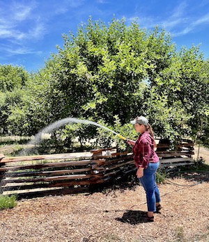 Stone Soup Fsrm Glen Oak, CA